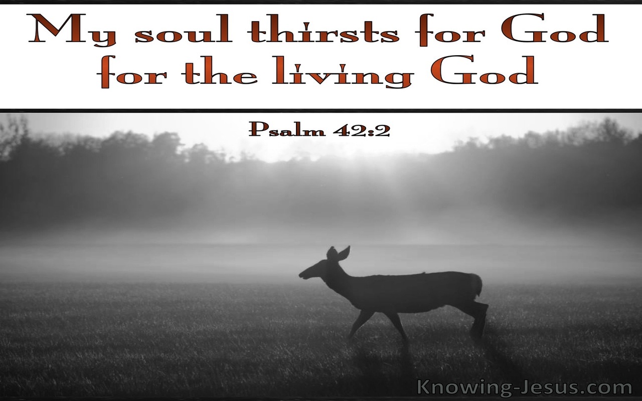 Psalm 42:2 My Soul Is Thirsty For God (gray)